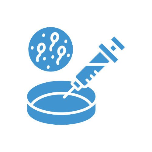 Protocolo de transferência de embriões para projetos especiais