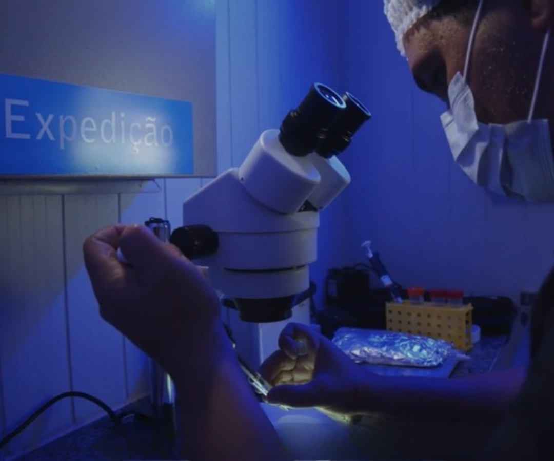 Laboratório de embriões